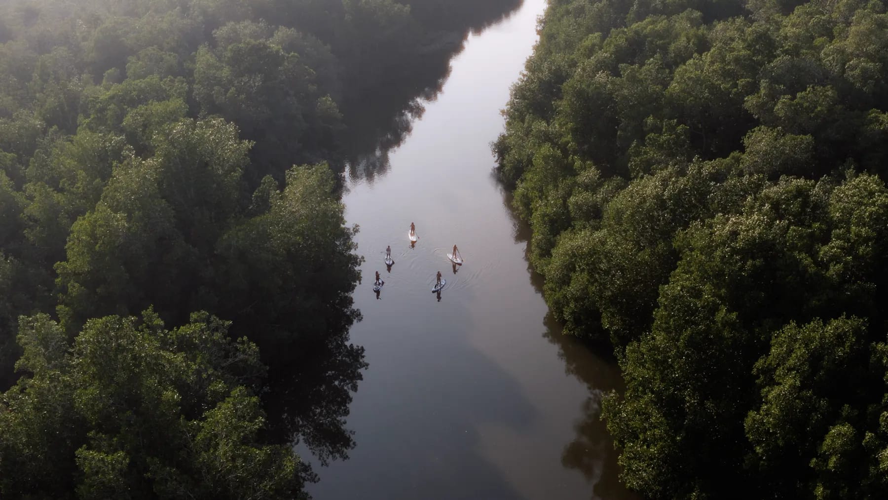Paddle board